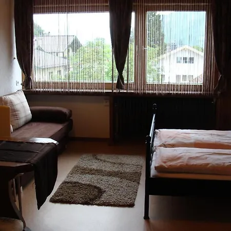 格斯瓦德内公寓酒店 * 滨湖采尔