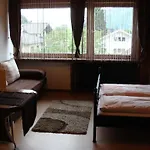 格斯瓦德内公寓酒店 * 滨湖采尔